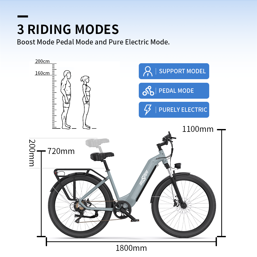 OneSport OT05 PRO GREY-BLUE - e-Bike Avanzata | Motore 250W | Batteria Estraibile | Display LCD