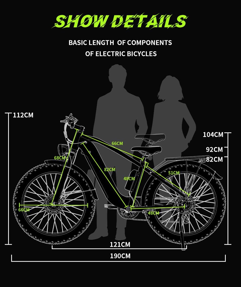 DUOTTS F26 PRO SILVER – E-Bike Cargo Elettrica con Doppio Motore da 750W, Batteria Rimovibile 48V 20AH Samsung e Display LCD